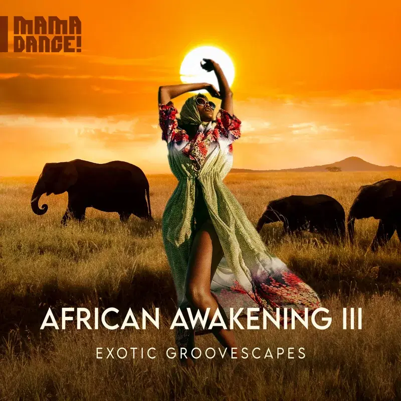 African Awakening 3 - Exotic Groovescapes