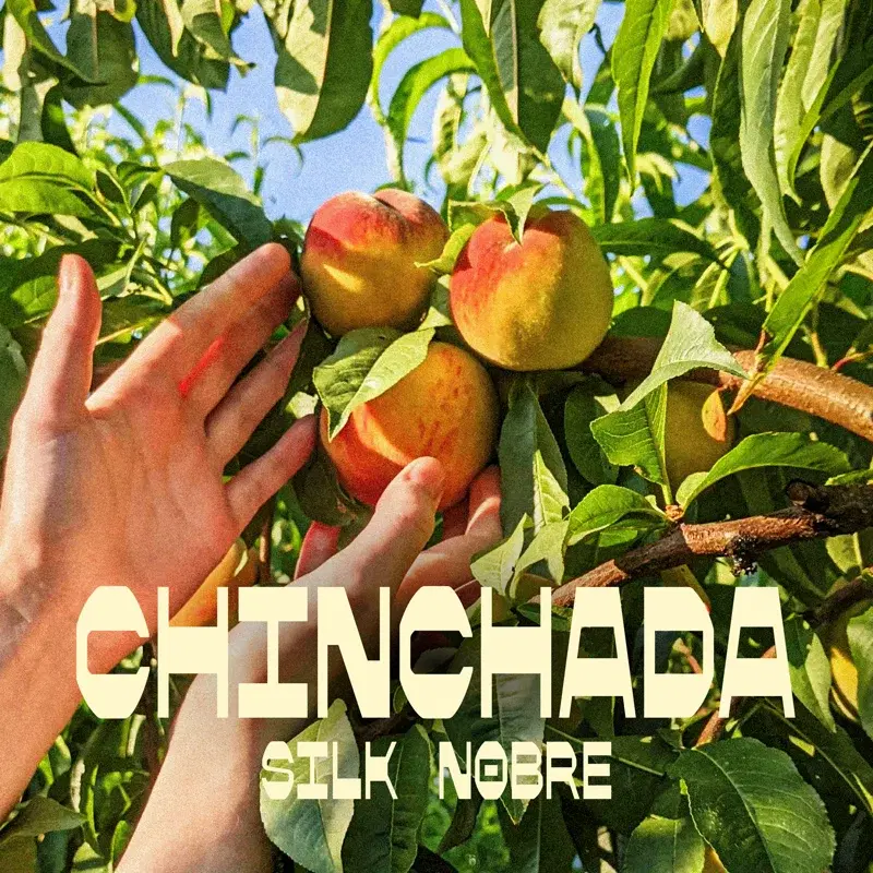 Chinchada