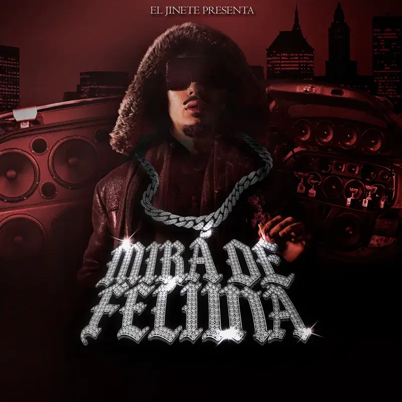MIRÁ DE FELINA