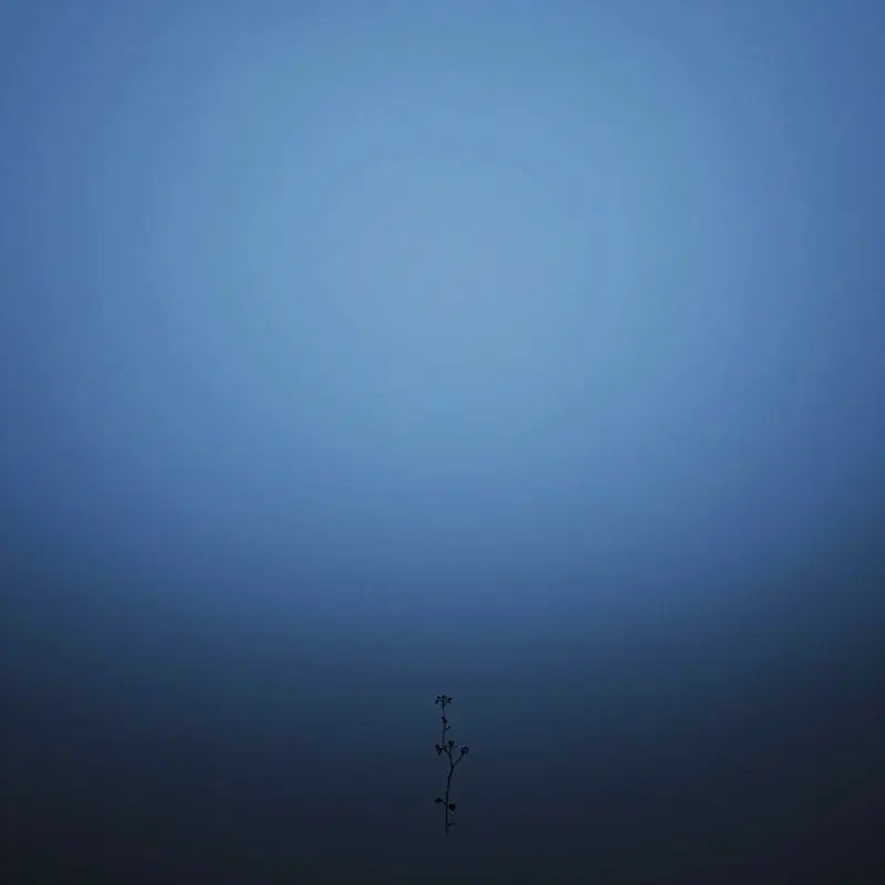 Fountain of Deep Sleep