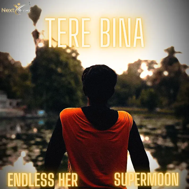 Tere Bina