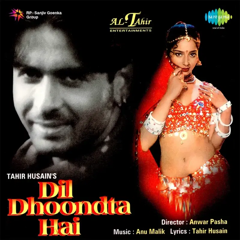 Dil Dhoondta Hai (Original Motion Picture Soundtrack)