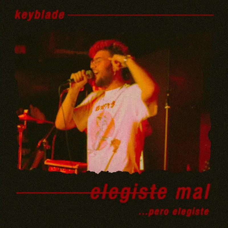 ELEGISTE MAL