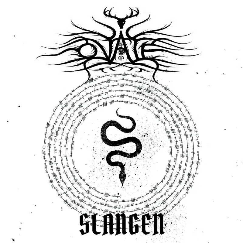 Slangen
