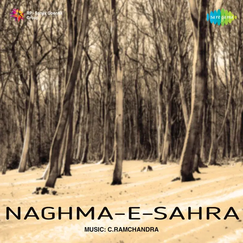Naghma - E - Sahra (Original Motion Picture Soundtrack)