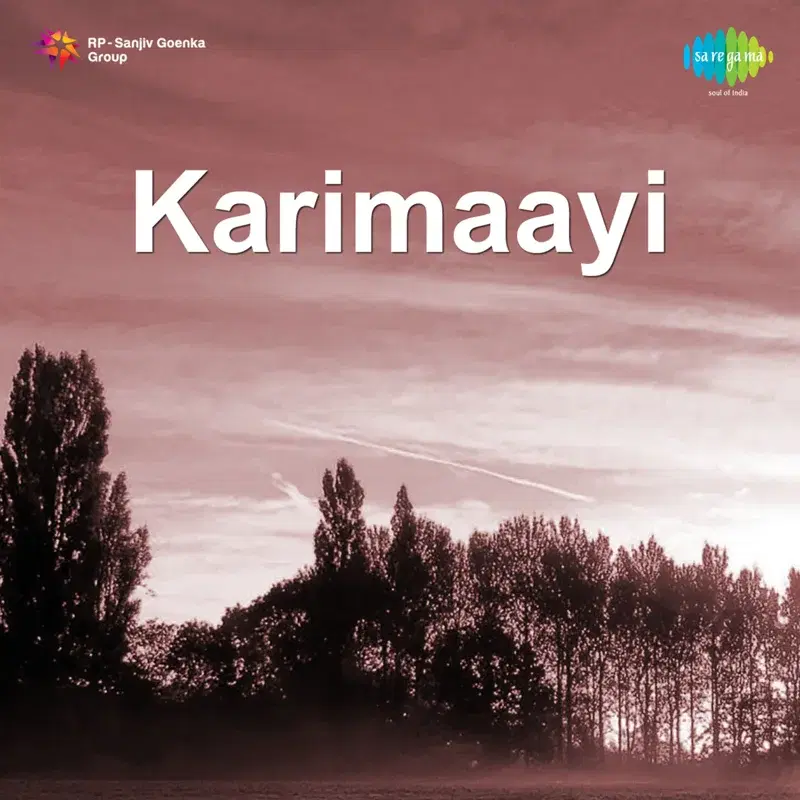 Yavva Byati Byaati - - Yanaadida (From "Karimaayi")