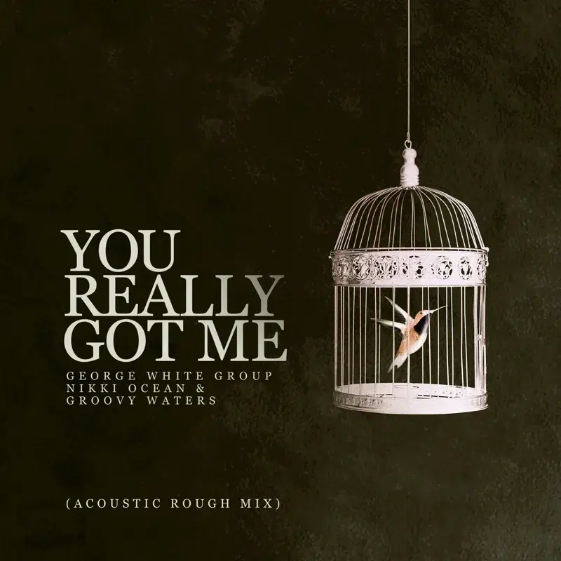 You Really Got Me (Acoustic Rough Mix)