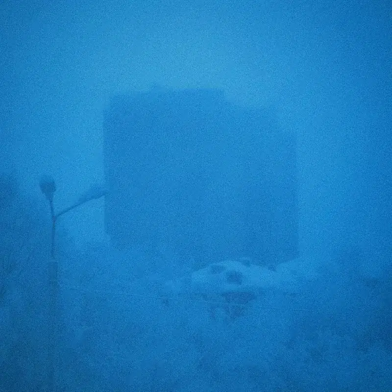 frozen bones