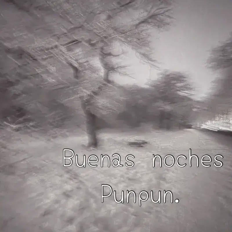 Buenas noches Punpun.