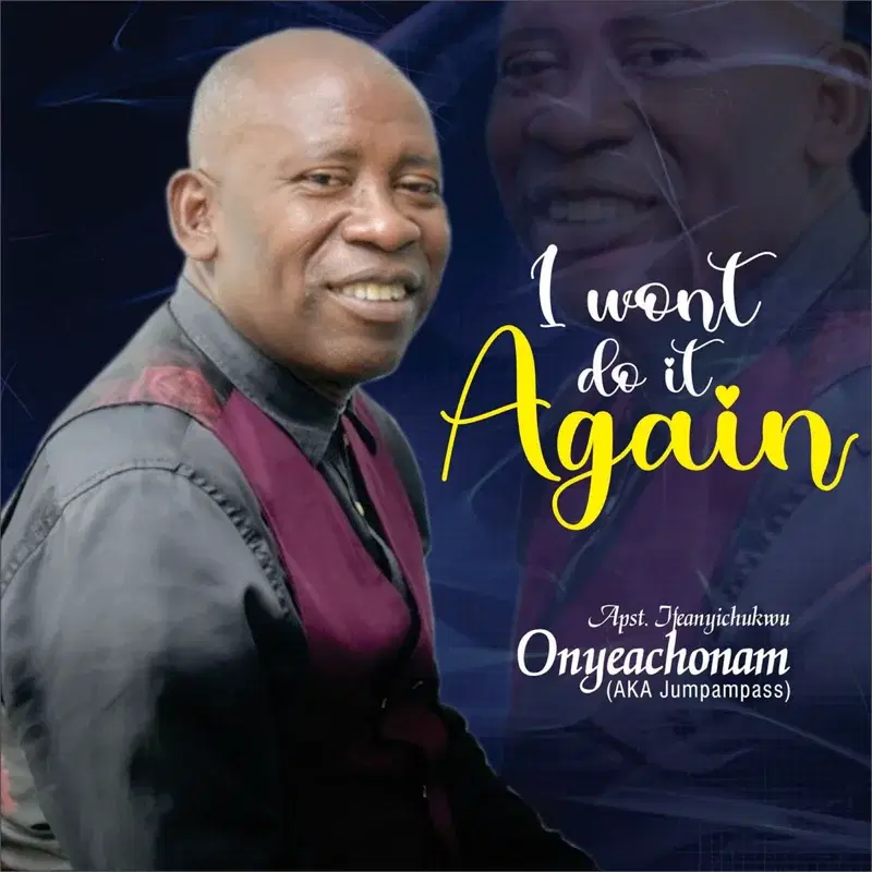 I Wont Do it Again