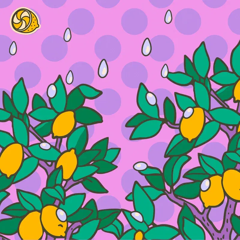 Drizzle