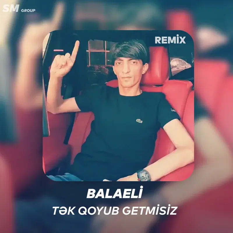 Tek Qoyub Getmisiz