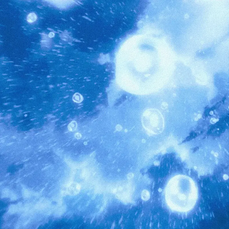 Raindrops