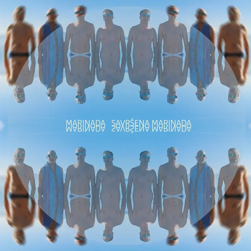 Savršena marinada