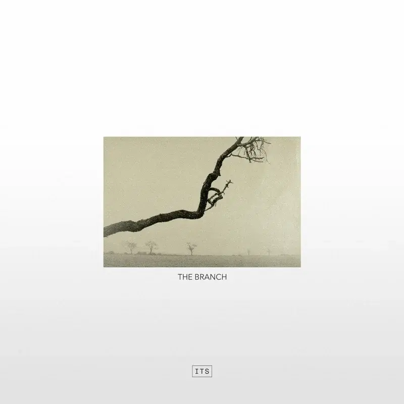 The Branch