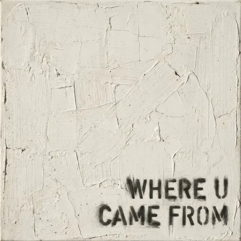 WHERE U CAME FROM