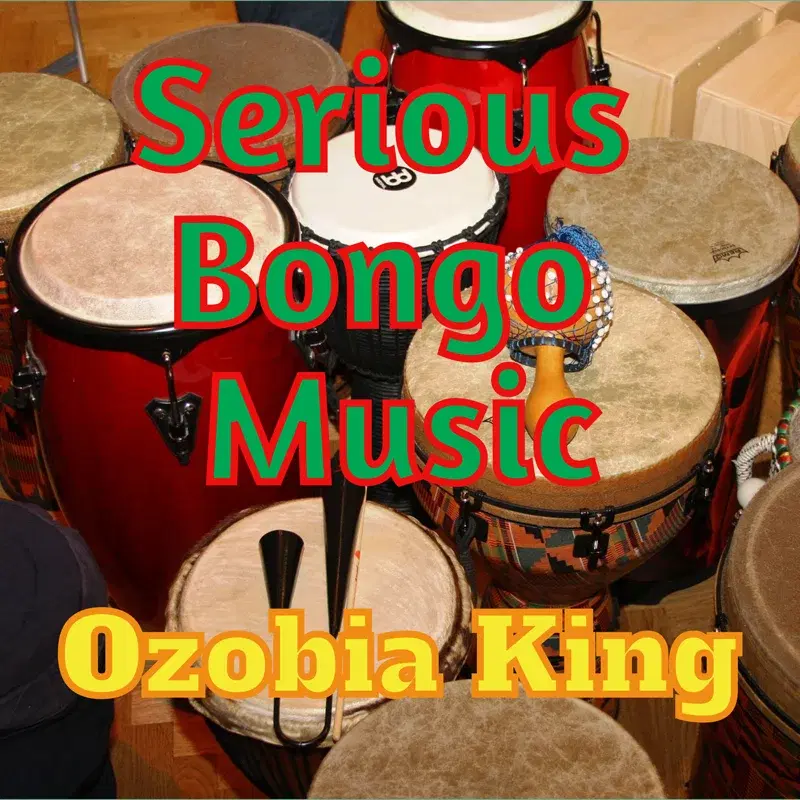 Serious Bongo Music