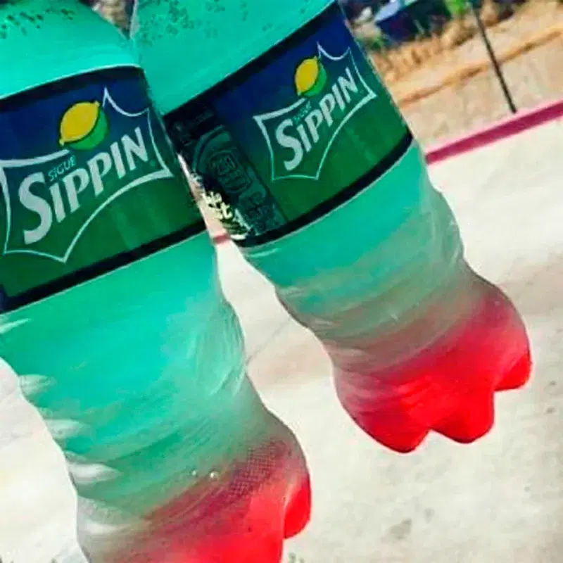 sigueSippin