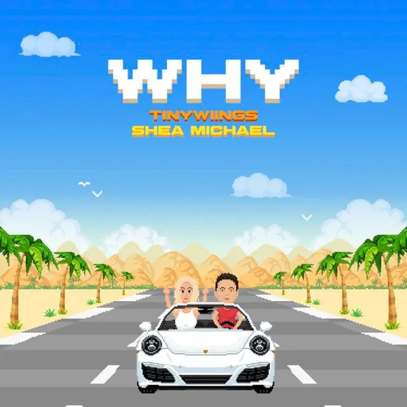 Why (feat. Shea Michael)