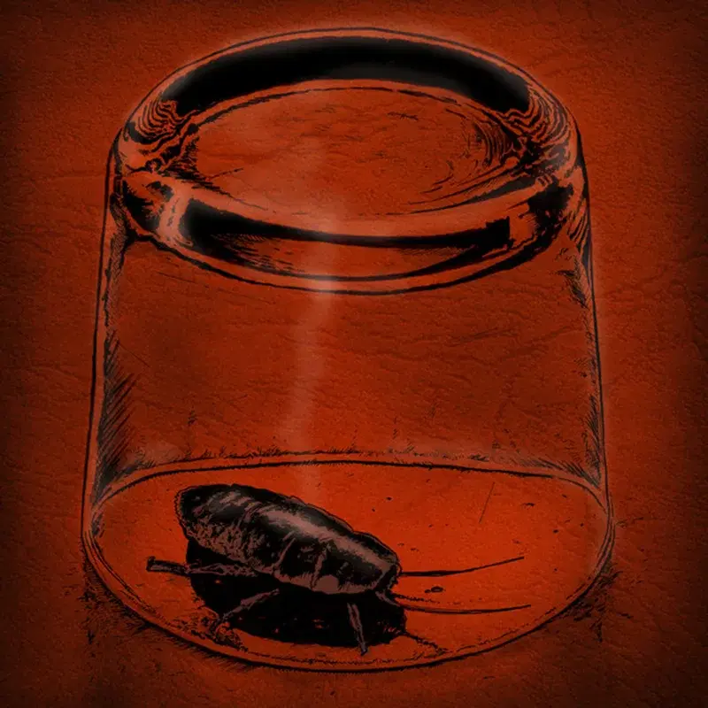 The Last Call