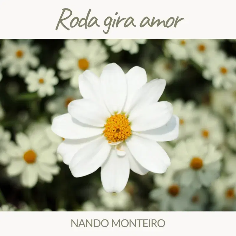 Roda gira amor