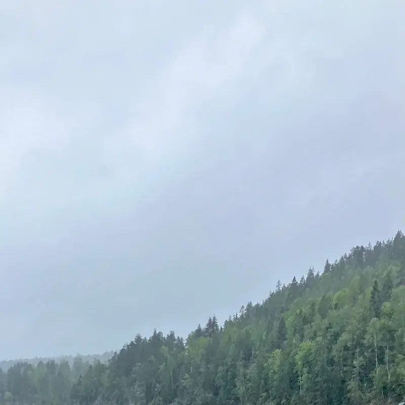 ørred
