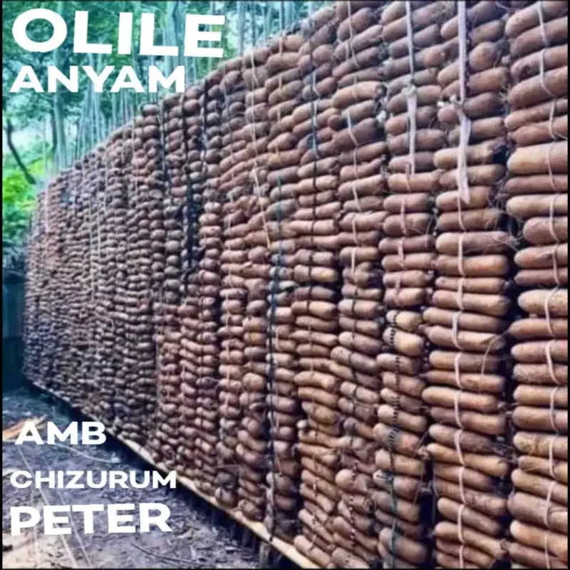 Olile Anyam