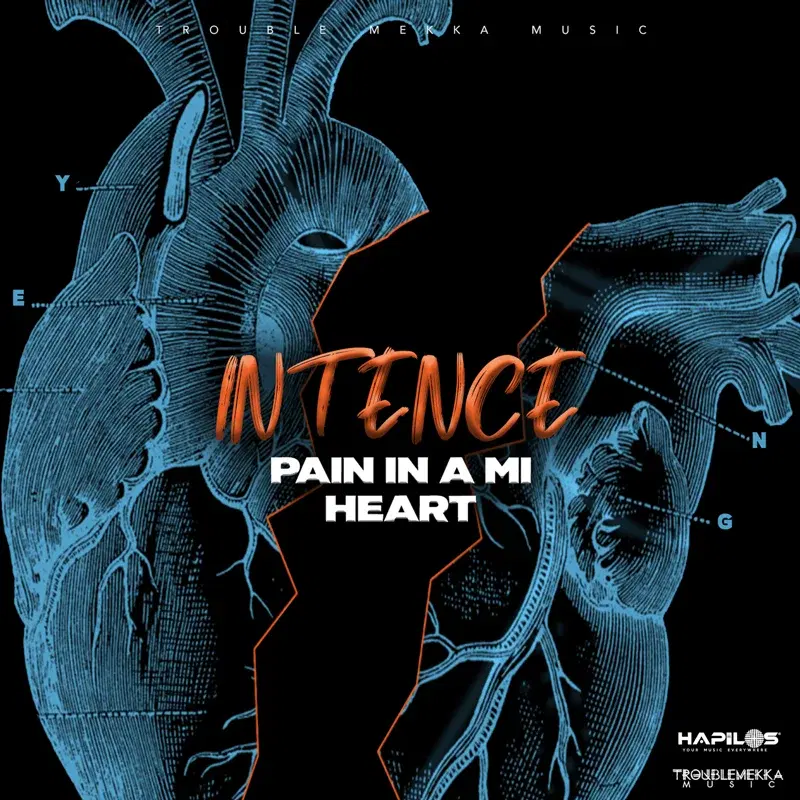 Pain in a Mi Heart