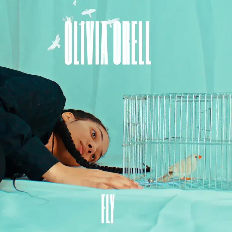 Fly