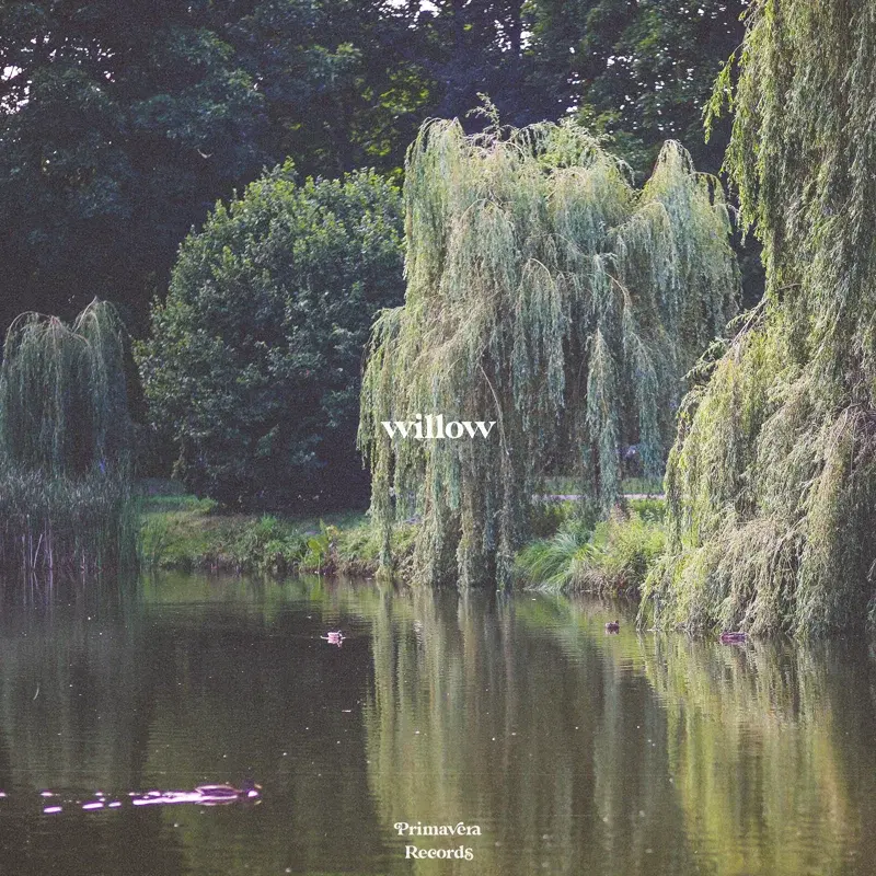 Willow