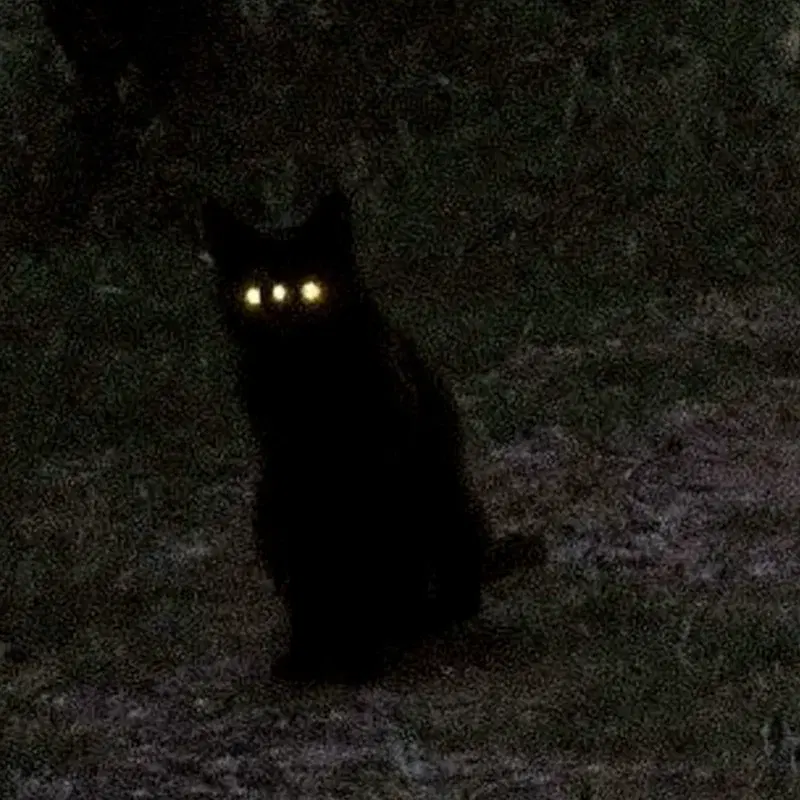 WOULD U TRUST IT?