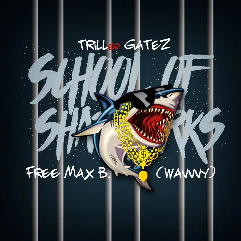 Free Max B. (Wavvvy)