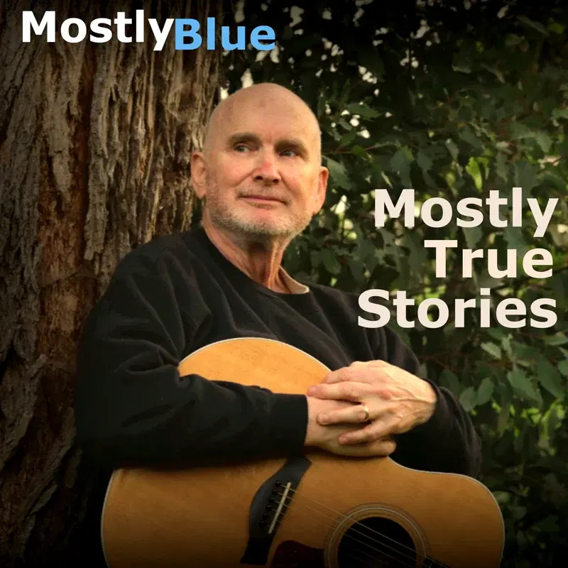 Mostly True Stories