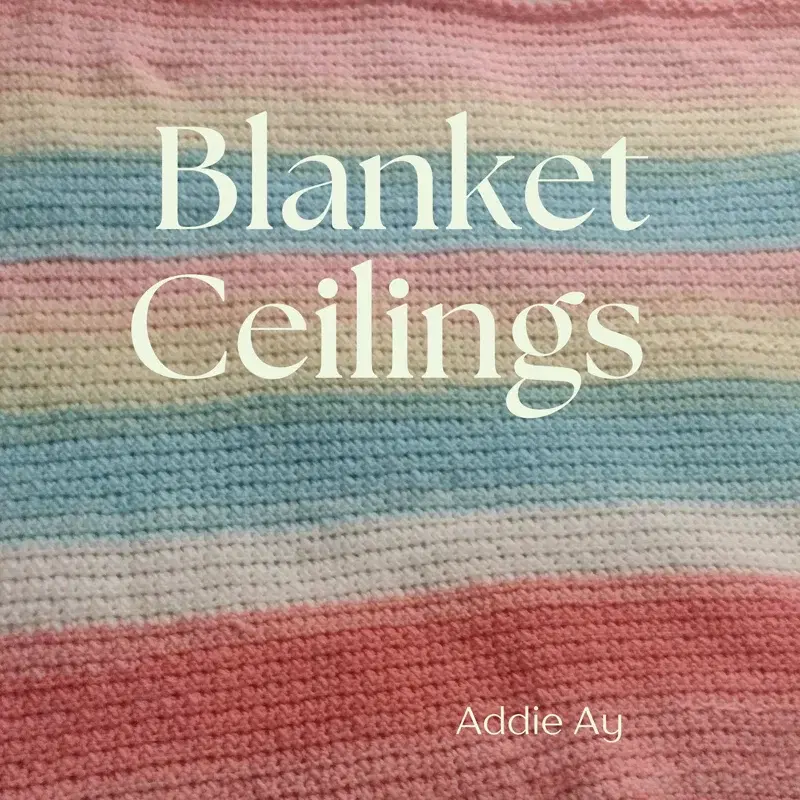 Blanket Ceilings