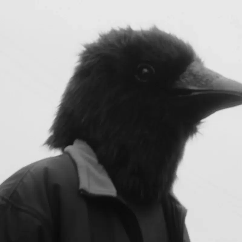 Follow The Bird