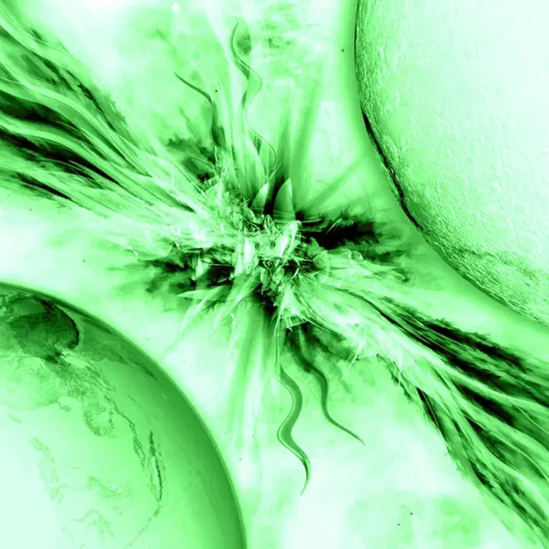 Cover Art