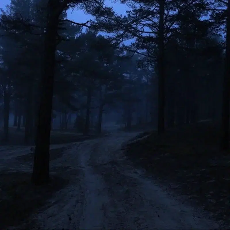 immersed lullaby