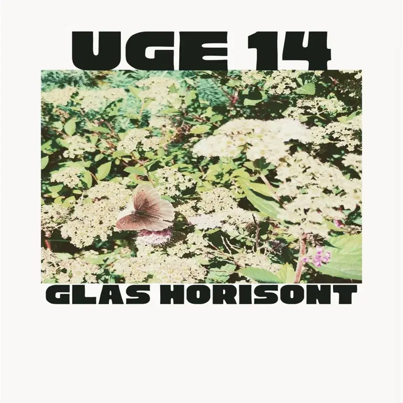 glas horisont