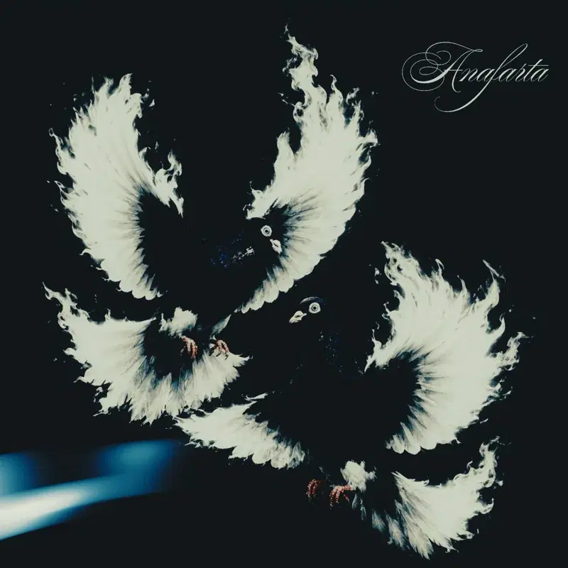 Cover Art