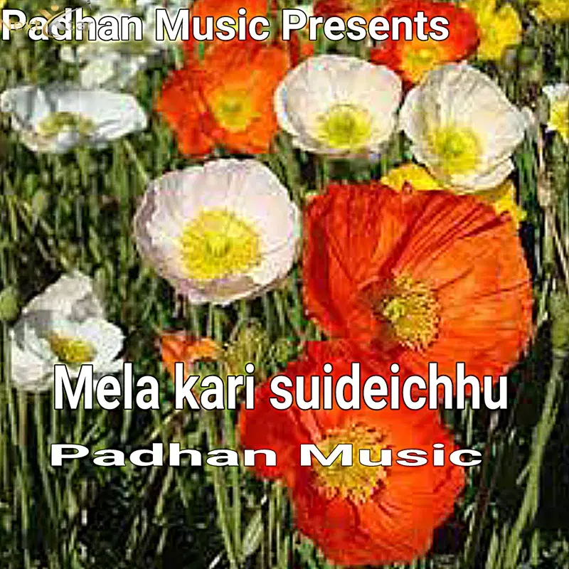 Mela Kari Suideichhu
