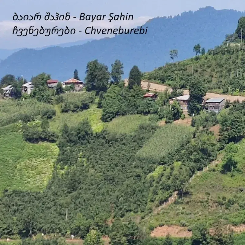 Cover Art