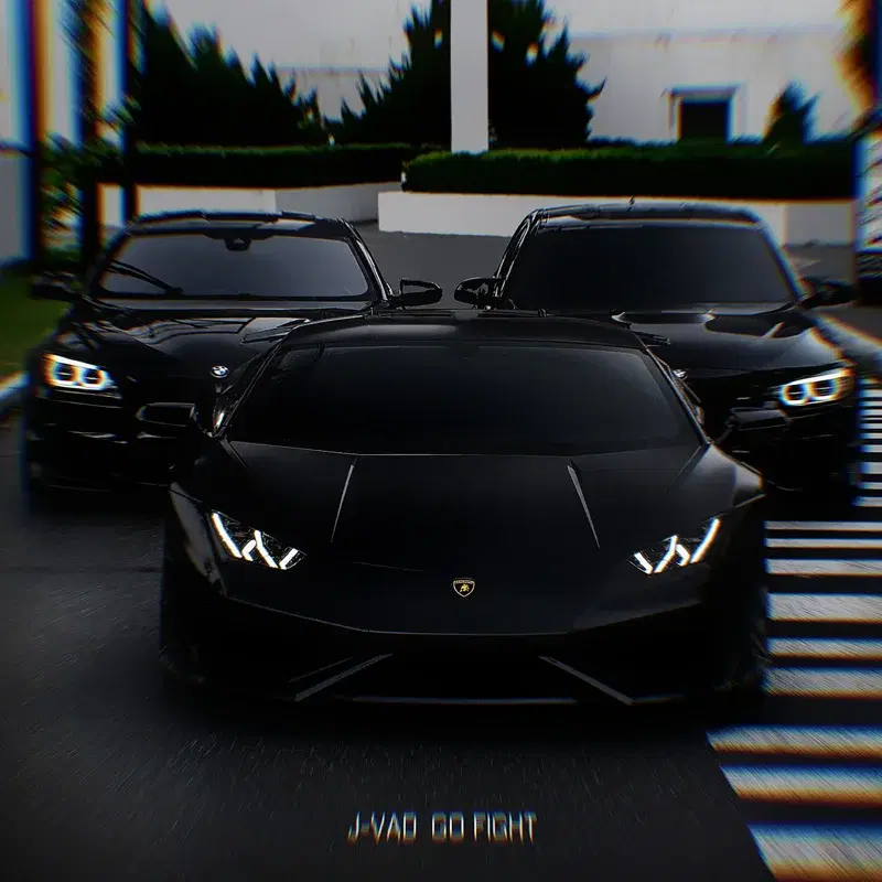 Go Fight