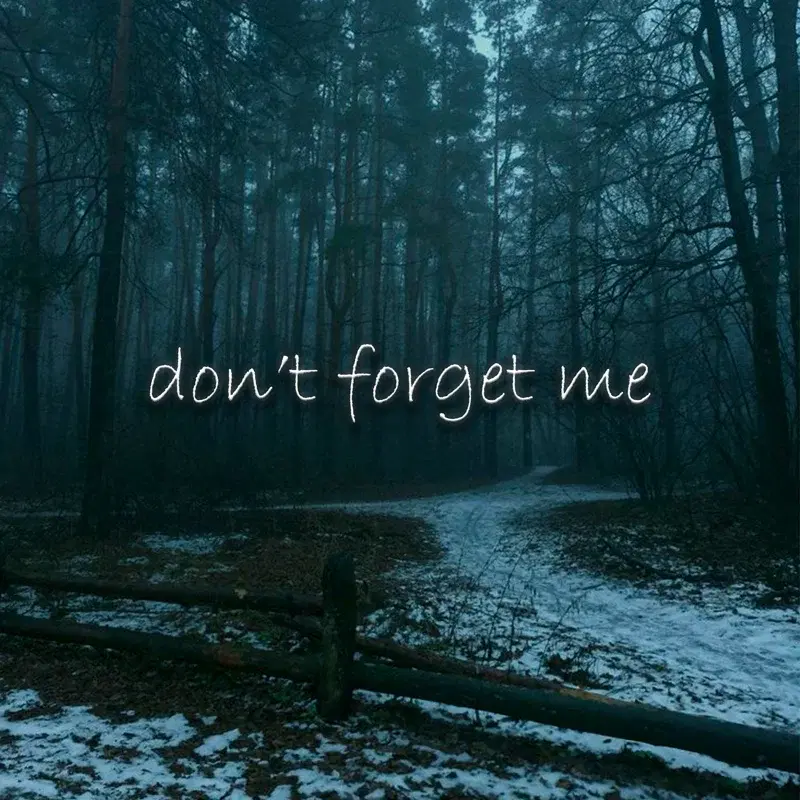 don't forget me