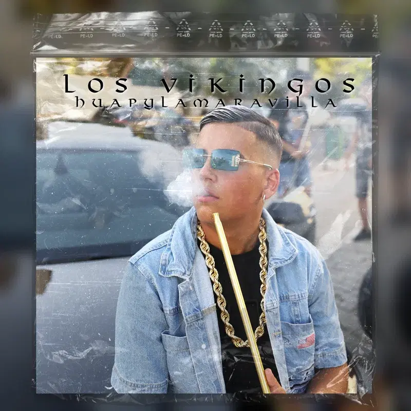 Los Vikingos