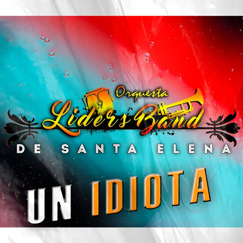 UN IDIOTA