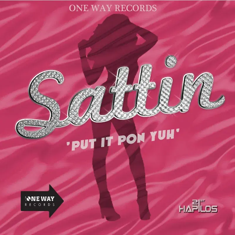 Put It Pon Yuh - Single