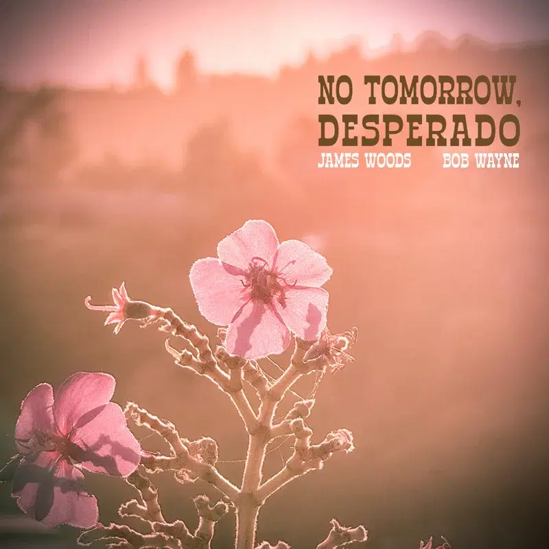 No Tomorrow, Desperado