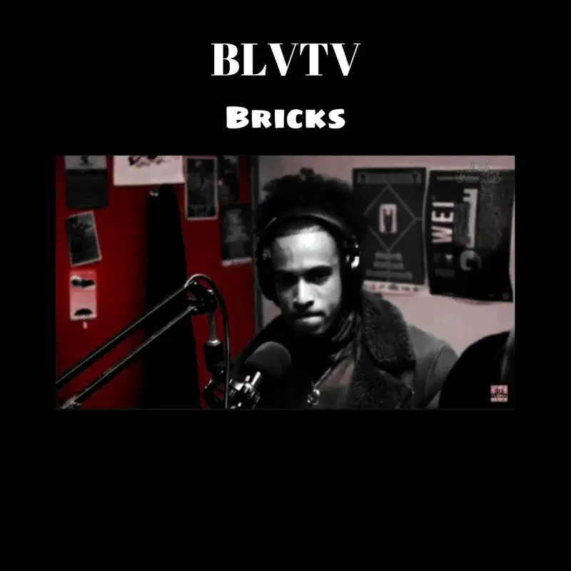 Bricks