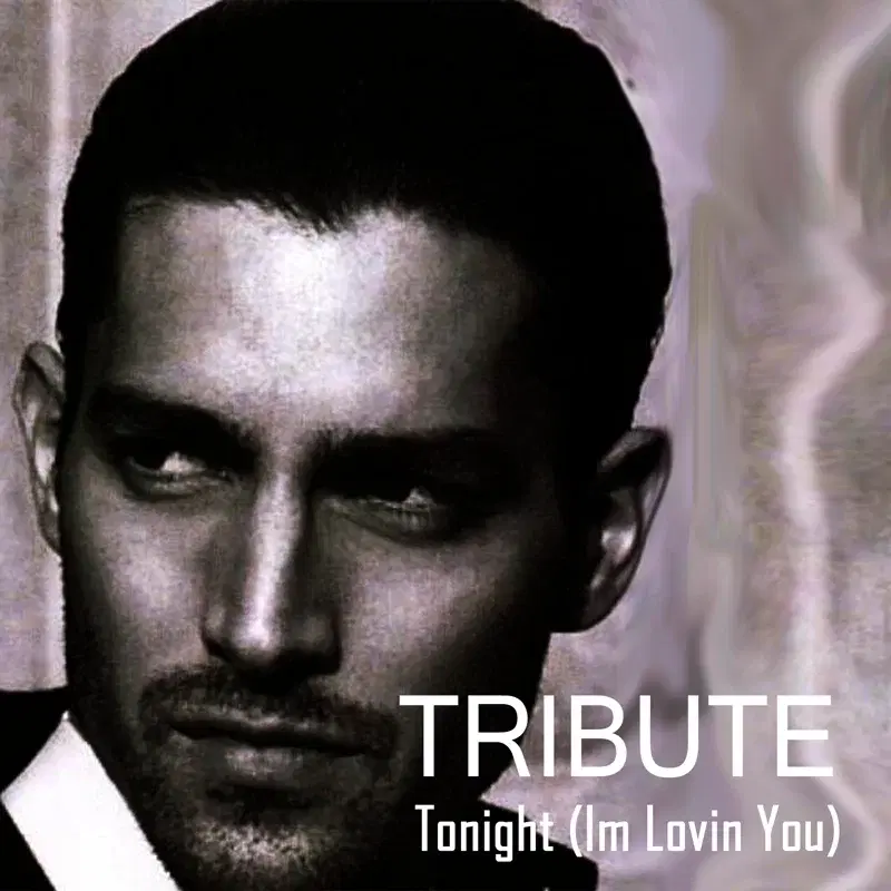 Tonight (I'm Lovin' You) {feat. Ludacris and DJ Frank E} (Enrique Iglesias Tribute)