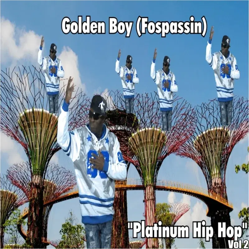 Platinum Hip Hop Vol 2